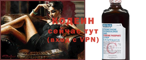 прущие грибы Вяземский