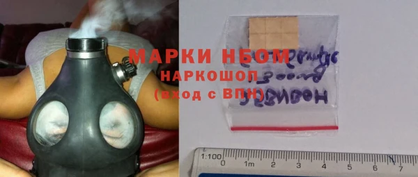 прущие грибы Вяземский