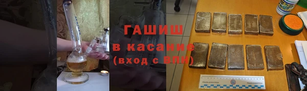 прущие грибы Вяземский