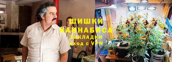 прущие грибы Вяземский