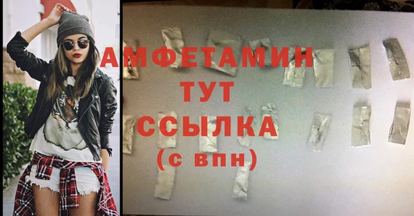прущие грибы Вяземский