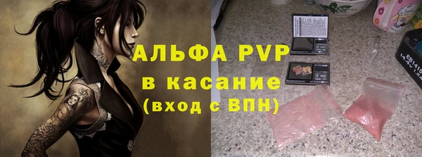 прущие грибы Вяземский