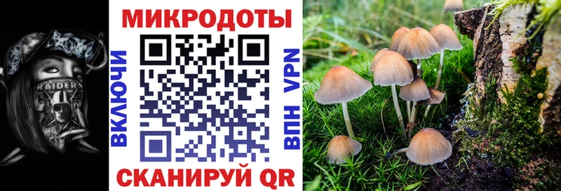Купить где  Красноперекопск  Галлюциногенные грибы Cubensis 