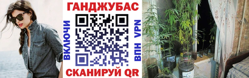 Купить где  Красноперекопск  Канабис планчик 